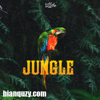 Cartel Loops Jungle Part 1 WAV MiDi-DISCOVER