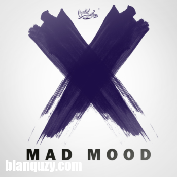 Cartel Loops Mad Mood WAV MiDi-DISCOVER