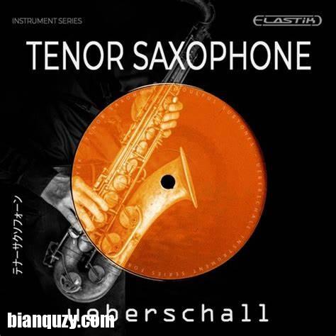 Ueberschall Tenor Saxophone ELASTIK