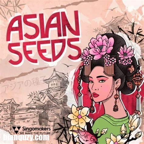 Singomakers Asian Seeds WAV REX-FANTASTiC