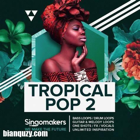 Singomakers Tropical Pop 2 WAV REX-FANTASTiC