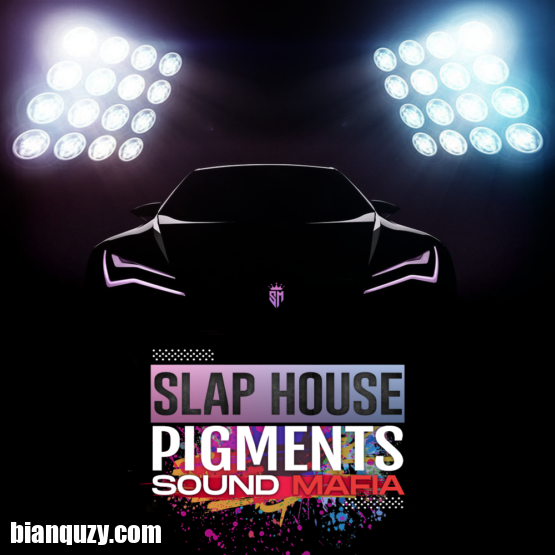 Sound Mafia Slap House Pigments MULTiFORMAT-DECiBEL