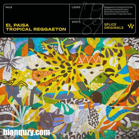 Splice Originals El Paisa Tropical Reggaeton WAV Astra Presets-FANTASTiC