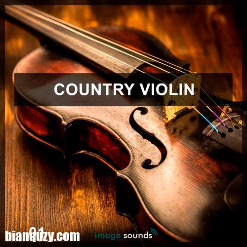 Steinberg Country Violin VSTSOUND