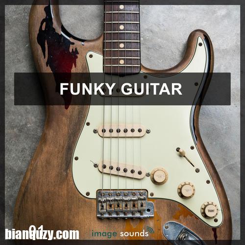 Steinberg Funky Guitar 1 VSTSOUND