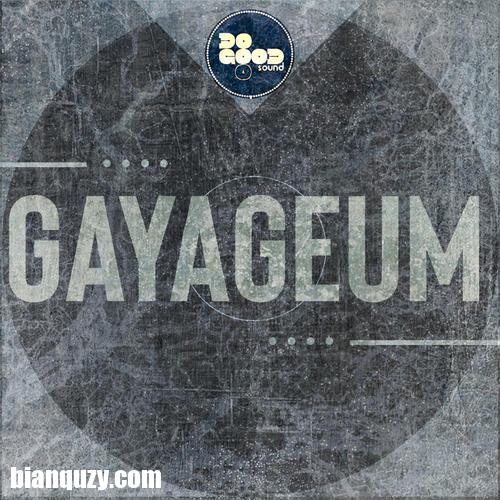 Steinberg Gayageum Strings VSTSOUND