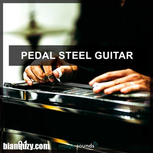 Steinberg Pedal Steel Guitar VSTSOUND 编曲资源