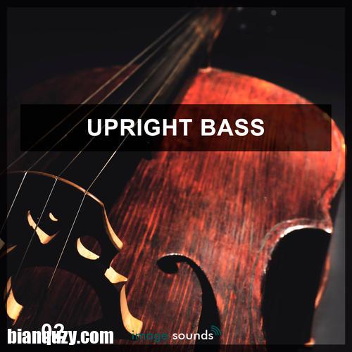 Steinberg Upright Bass 2 VSTSOUND