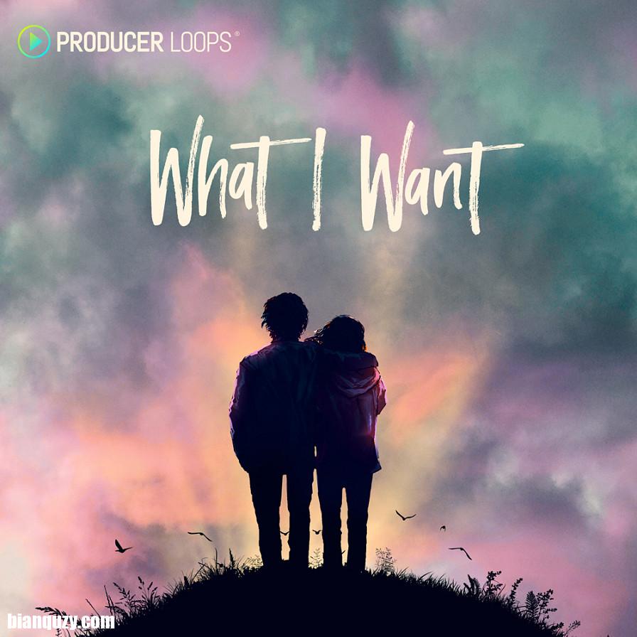 Producer Loops What I Want MULTiFORMAT-DECiBEL