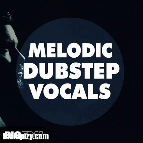 Big EDM Melodic Dubstep Vocals WAV MiDi-FANTASTiC