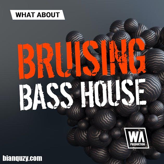 WA Production Bruising Bass House MULTiFORMAT