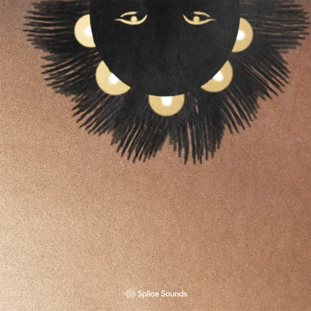 Splice krs.: Build a Vybz Vol. 3 WAV MIDI