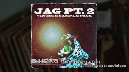 20个经典老唱片采样切片 Dave Zeke Jag Pt.2 Vintage Sample Pack [WAV]