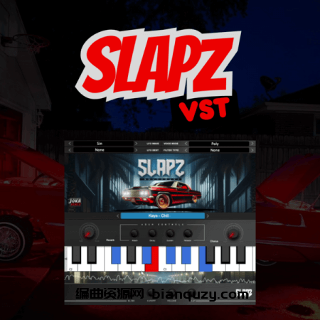 西海岸嘻哈风格音源 Diamond Loopz Slapz VST v1.0 [WiN, MacOSX]