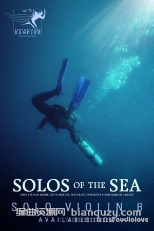 B款独奏小提琴 Performance Samples Solos of the Sea Solo Violin B [KONTAKT]