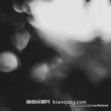 Polyend Bliss Chords [WAV]