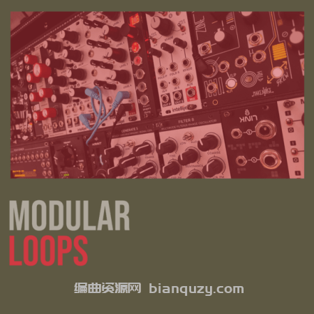 模块化循环素材集 Shed Skin Records Shed Skin Records Modular Loops 1 [WAV]