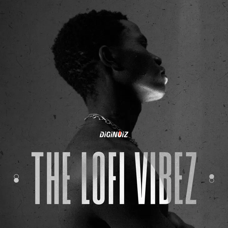 低保真氛围 Diginoiz The Lofi Vibez WAV-FANTASTiC
