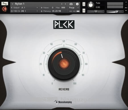 拨弦乐器音色库 Musical Sampling PLCK [KONTAKT]