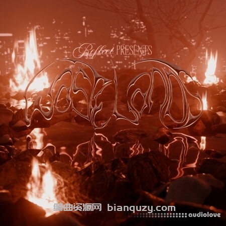 唤醒地下陷阱音乐的黑暗能量 Reflect Wastelands Multi Kit [WAV, MiDi]