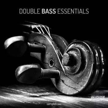 低音提琴核心音效包 SampleTraxx Double Bass Essentials KONTAKT WAV