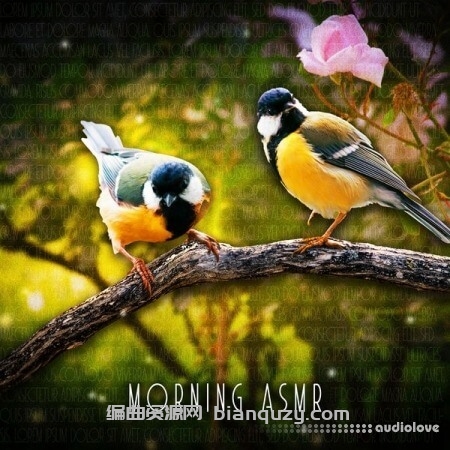 Sound Effects Zone Morning ASMR Sounds Of Birds Chirping [FLAC]