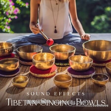 Sound Effects Zone Sound Effects Tibetan Singing Bowls for Meditation [WAV, FLAC]