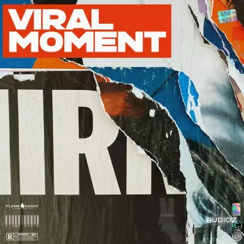 全新流行陷阱节拍合集 Flame Audio Viral Moment Pop Trap Beats WAV MiDi-FANTASTiC