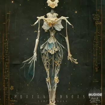 畸变噪声 SampleTraxx Mutilated Noise WAV