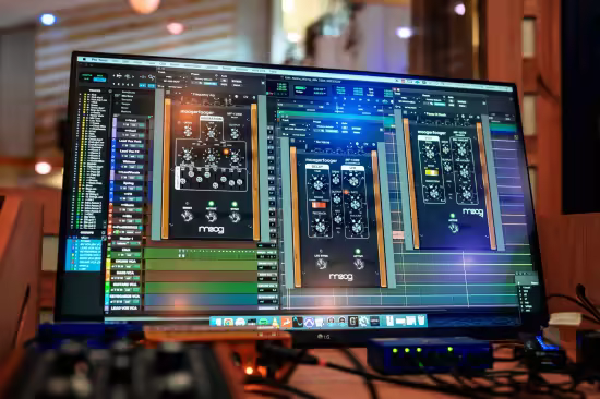 Moog Music Plugins Bundle 2024 WIN