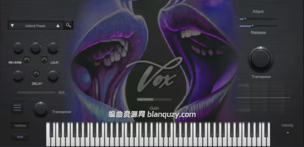 轻量级灵魂乐人声 True Soul Vibes RnB Vox 1.0.0 WIN