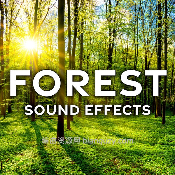 森林音效 Sound Ideas Forest Sound Effects FLAC-FANTASTiC
