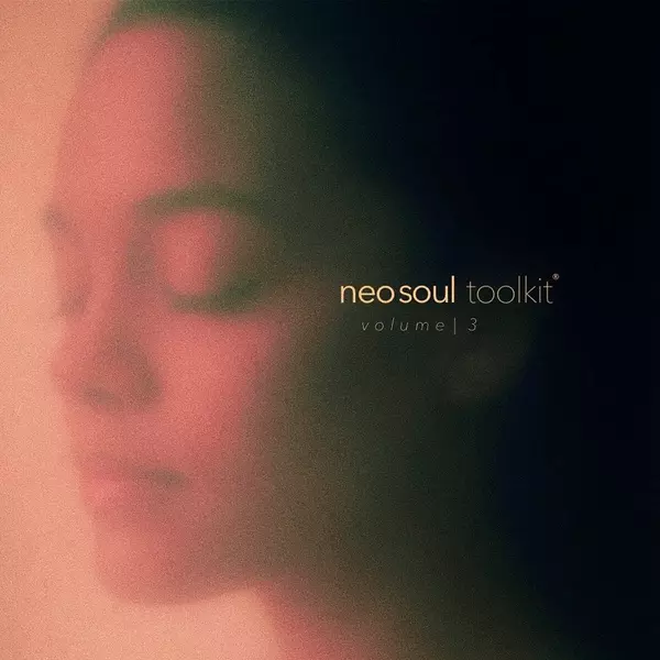 新灵魂乐音频素材包 Dionso and Xandros Neo-Soul Toolkit Vol.3 WAV-FANTASTiC