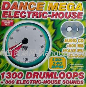 千禧年经典复古 House 采样库 Best Service Dance Mega Electric-House WAV-ARCADiA