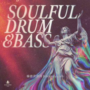 灵魂质感鼓打贝斯 Black Octopus Soulful Drum and Bass WAV-GTA