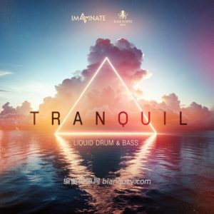 “液态鼓打贝斯”全功能素材库 Black Octopus Sound Tranquil Liquid DnB by Imaginate WAV-GTA