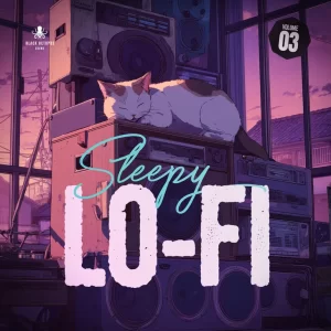 Lo-Fi 风格音乐制作采样包 Black Octopus Sound Sleepy Lofi Vol 3 MULTiFORMAT-FANTASTiC