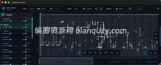 AI 人声调音与音高修正插件 Bulldog Tuned v1.1.2 MacOS
