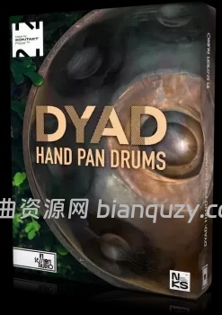 手碟 In Session Audio Dyad Hand Pan Drums KONTAKT-ARCADiA