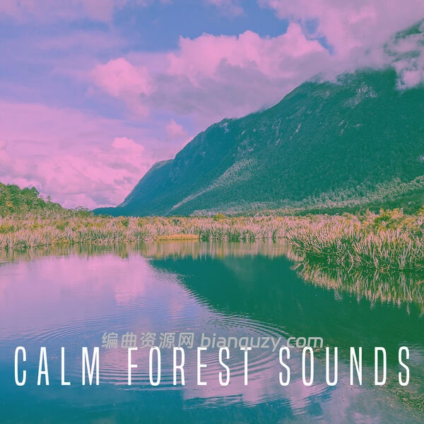 电影级自然声效库 Rest and Relax Nature Sounds Calm Forest Sounds FLAC-FANTASTiC