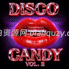 Serum2 合成器预设采样包 EvoSounds Disco Candy Vol.2 WAV MiDi XFER RECORDS SERUM 2-FANTASTiC