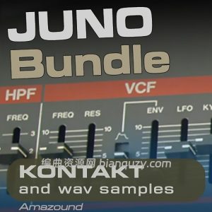 罗兰 Juno 系列康泰克复古合成器 Amazound Juno Bundle KONTAKT-FANTASTiC