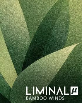 竹横笛 Crocus Soundware Liminal µ: Bamboo Winds KONTAKT