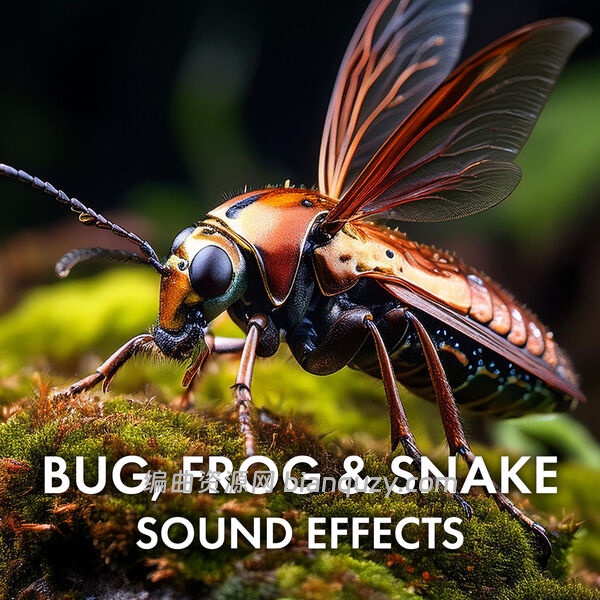 野生动物音效 Sound Ideas Bug Frog and Snake Sound Effects FLAC-FANTASTiC