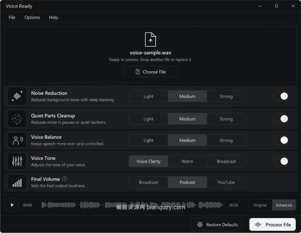 人声后期处理独立软件 Voice Ready 1.0.2 WIN